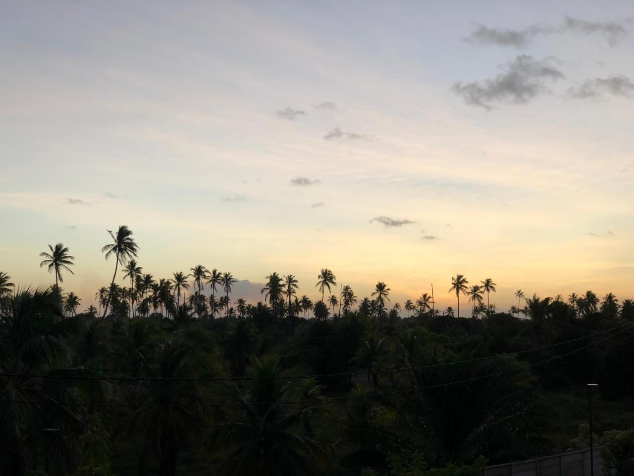 Apartamento Palm Acqua